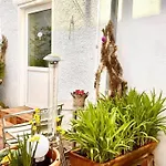Spatzennest am Alten Strom